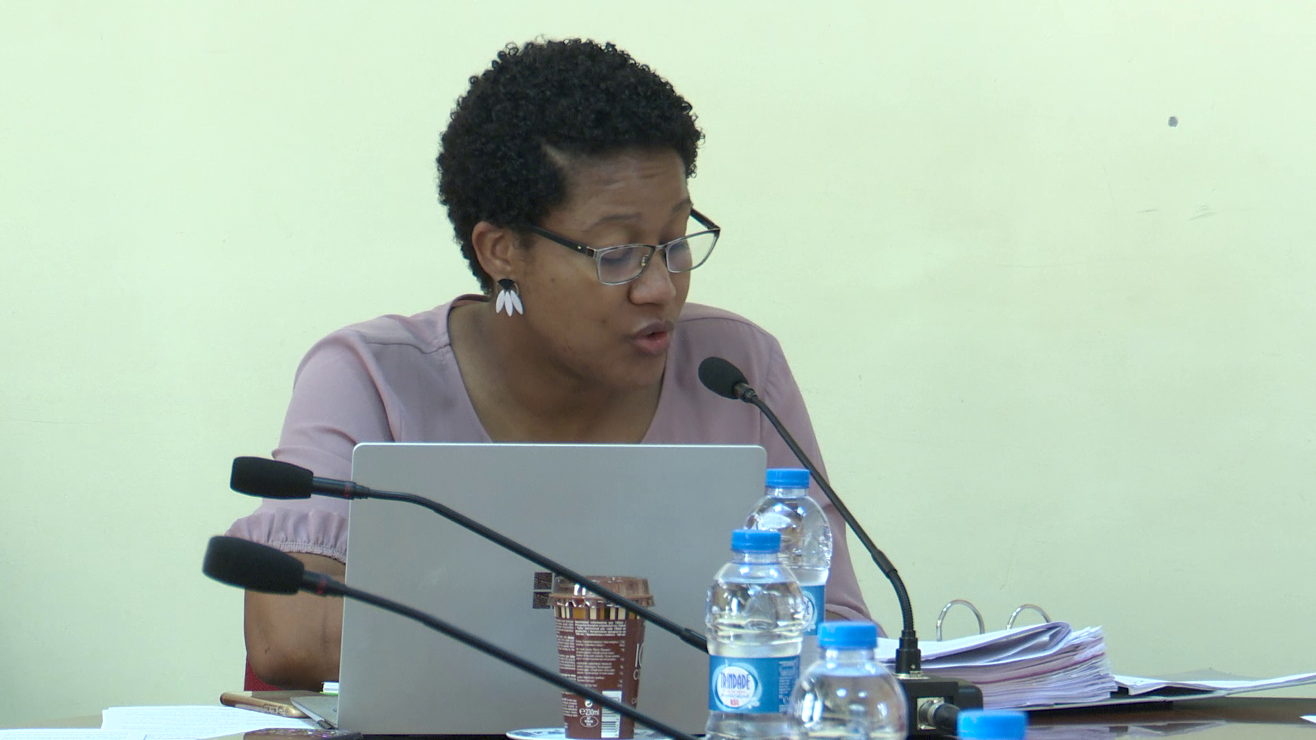 Edna Oliveira participa em audição parlamentar da 1ª Comissão Especializada