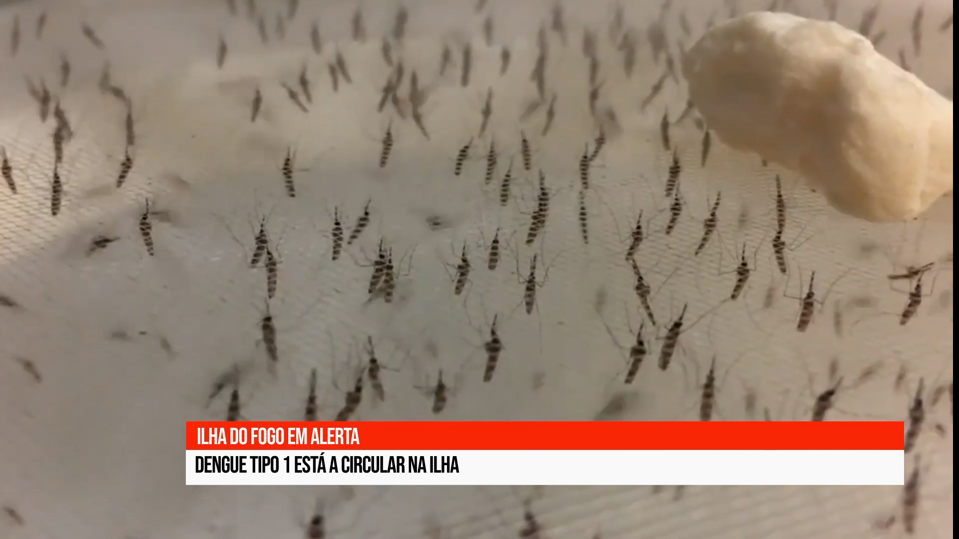 Primeiro caso de dengue tipo 1 detetado na ilha do Fogo