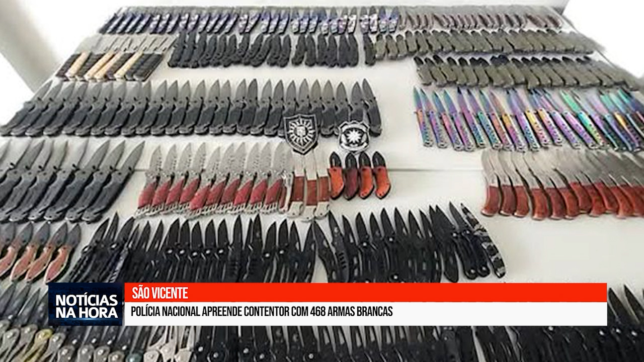 Polícia Nacional apreende contentor com 468 armas brancas