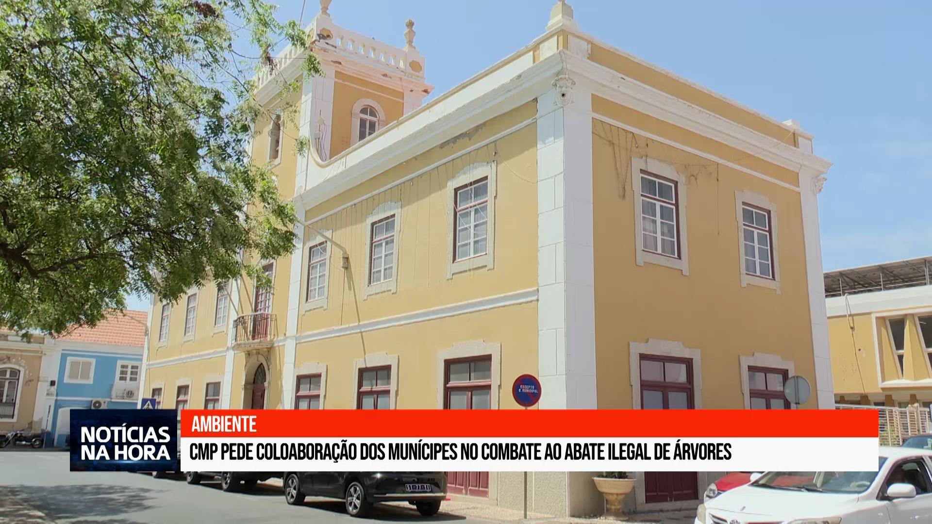 CMP pede coloaboração dos munícipes no combate ao abate ilegal de árvores