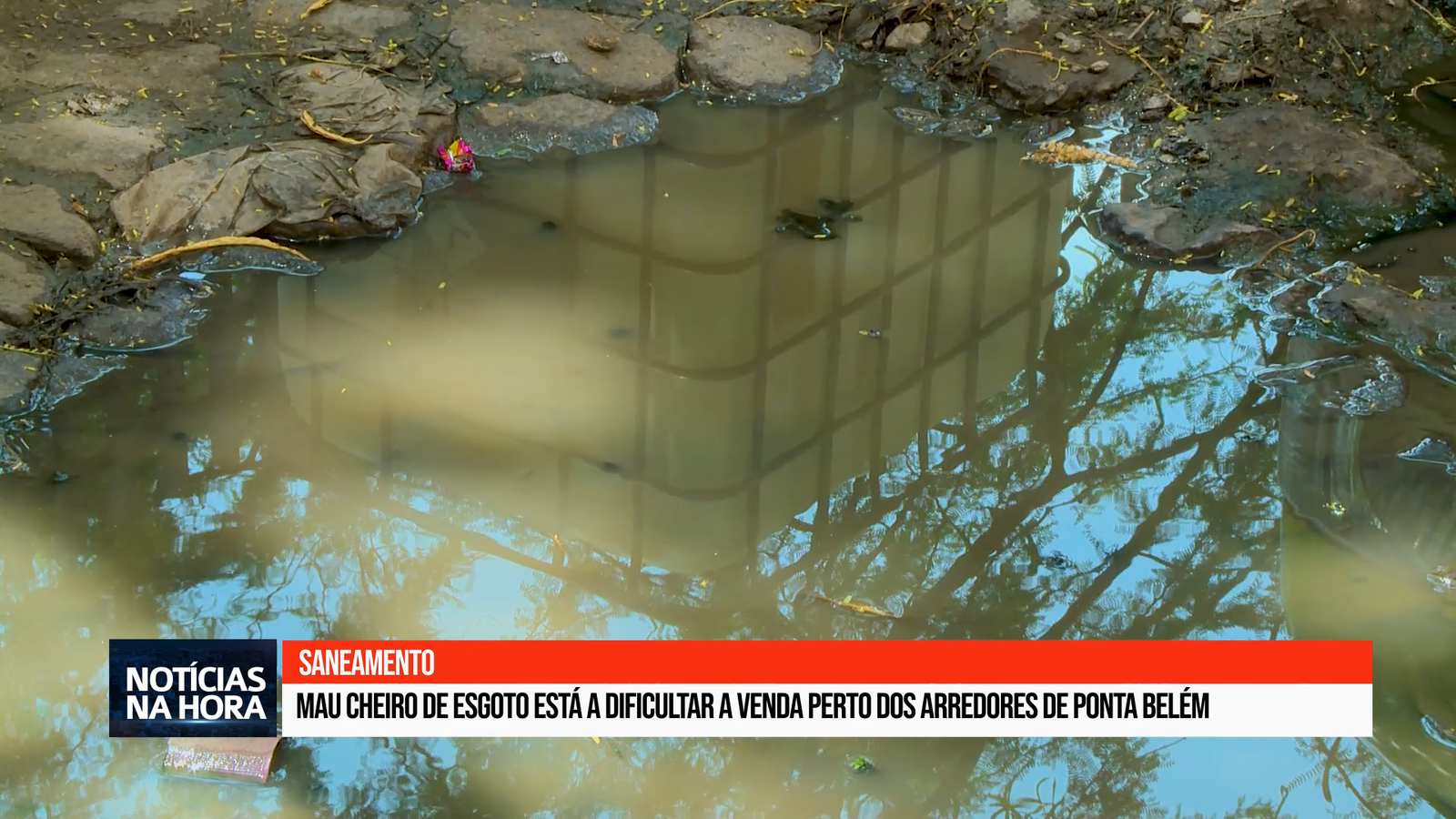 Mau cheiro de esgoto e condições precárias estão a dificultar a venda perto dos arredores de Ponta Belém.